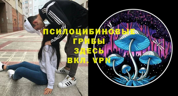 бутират Елизово