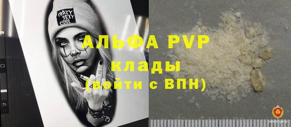 стаф Елабуга