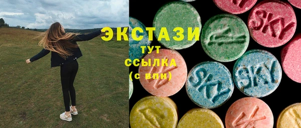 стаф Елабуга
