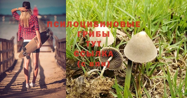 стаф Елабуга